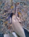 The Phoenix of Perpetuality 4