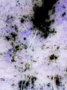 Stargazer 2