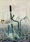 Apparatus For Capturing The Moon And Regaining Our Sanity 2