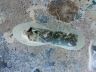 “If the Shoe Fits Wear It!” or “These Artists That Step In Feces 7