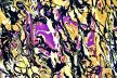 Psychological Morphology 150
