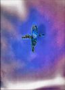 Fummage 129