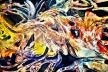 Psychological Morphology 171