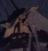 In The Shadow of The Pyramid 5