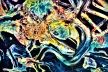 Psychological Morphology 159