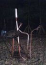 Apparatus For Capturing The Moon And Regaining Our Sanity 5