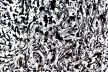 Psychological Morphology 95