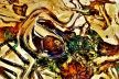 Psychological Morphology 11