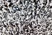 Psychological Morphology 96