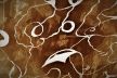 Psychological Morphology 15