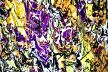 Psychological Morphology 132