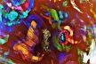 Psychological Morphology 70