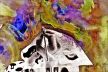 Psychological Morphology 82