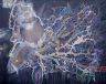 Apotheosis Realization