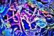 Psychological Morphology 154